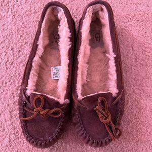 Authentic UGG slippers